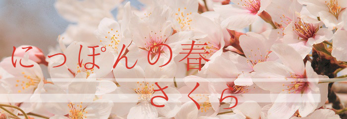 にっぽんの春 さくら
